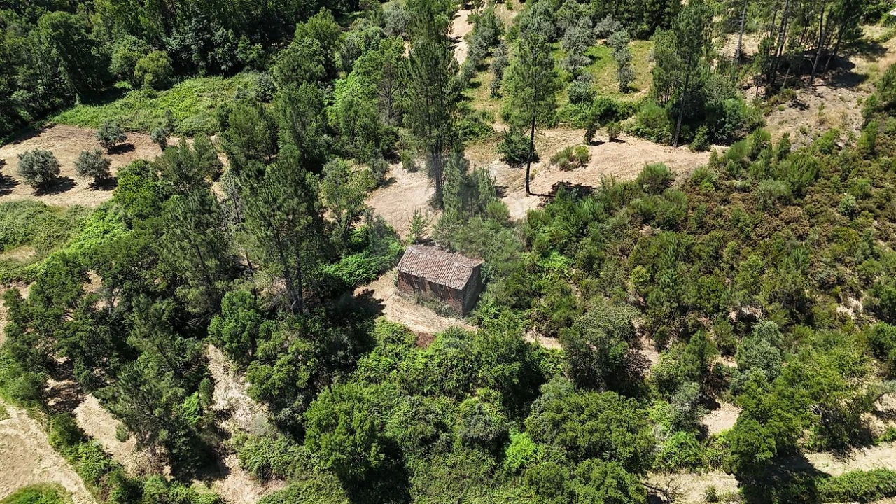 Terreno para Venda em Janeiro de Cima e Bogas de Baixo Foto 10