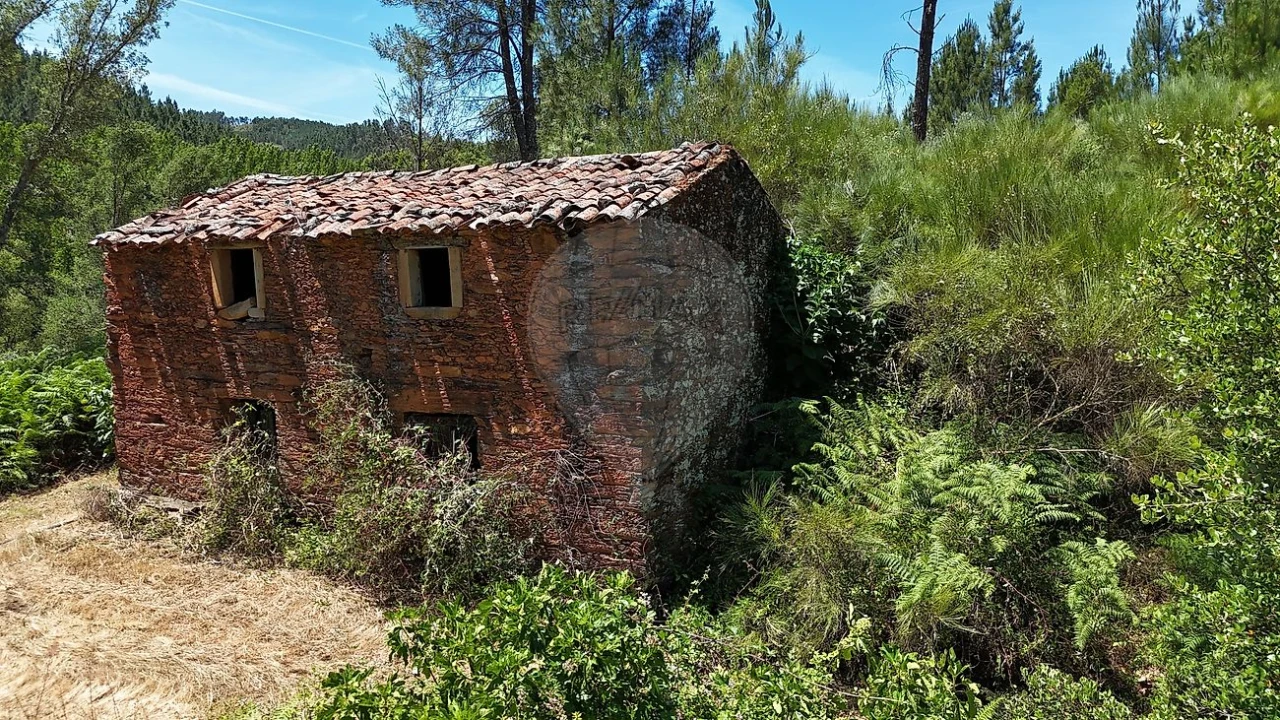 Terreno para Venda em Janeiro de Cima e Bogas de Baixo Foto 9