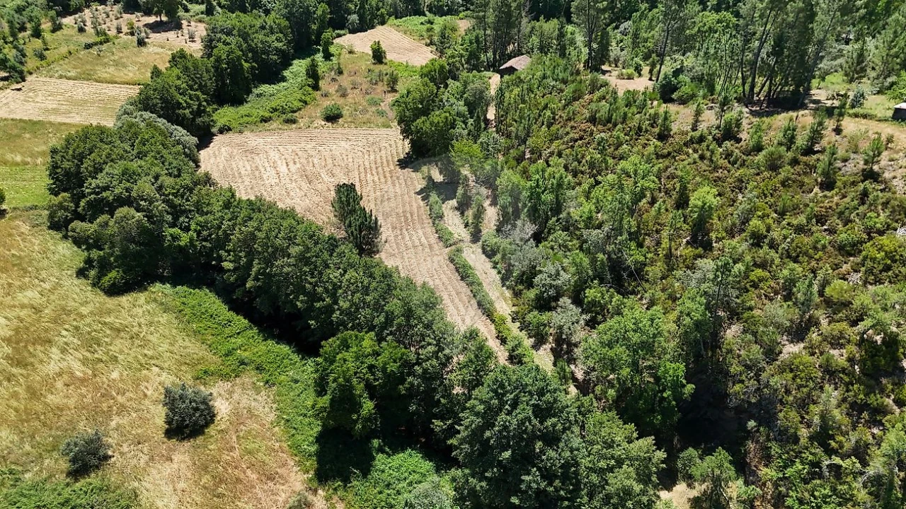 Terreno para Venda em Janeiro de Cima e Bogas de Baixo Foto 7