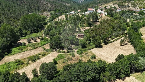Terreno para Venda em Janeiro de Cima e Bogas de Baixo