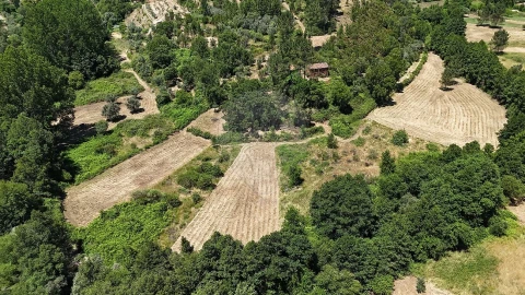 Terreno para Venda em Janeiro de Cima e Bogas de Baixo