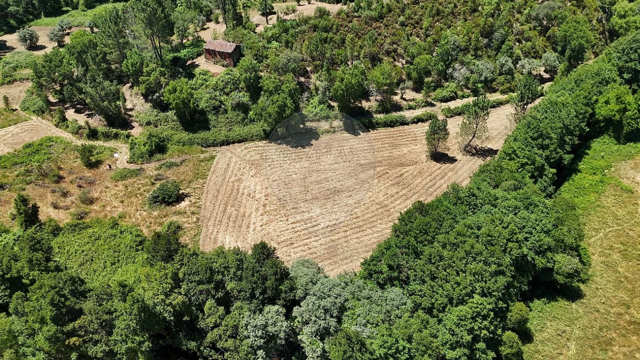 Terreno para Venda em Janeiro de Cima e Bogas de Baixo Foto 8
