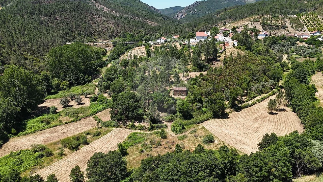 Terreno para Venda em Janeiro de Cima e Bogas de Baixo Foto 4