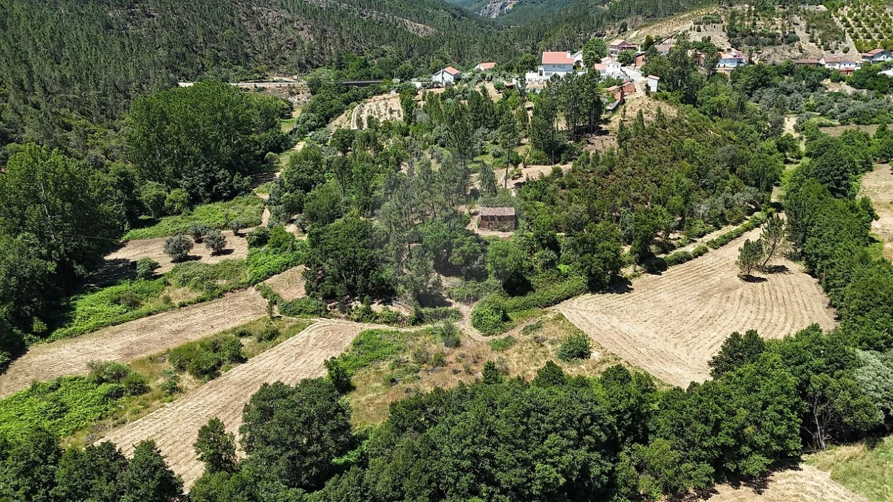 Terreno para Venda em Janeiro de Cima e Bogas de Baixo Foto 5
