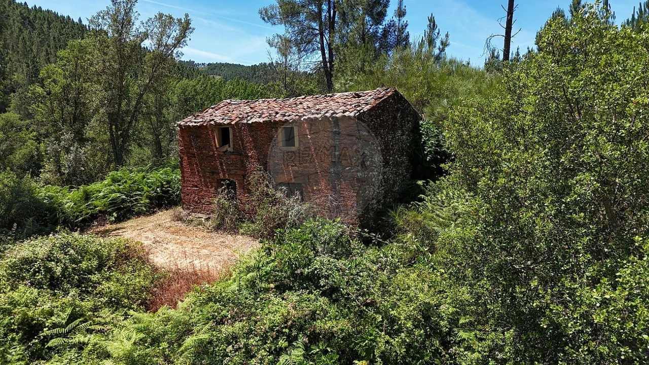 Terreno para Venda em Janeiro de Cima e Bogas de Baixo Foto 12