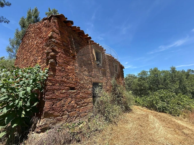 Terreno para Venda em Janeiro de Cima e Bogas de Baixo Foto 13