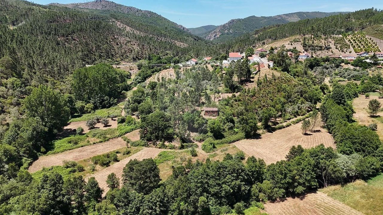 Terreno para Venda em Janeiro de Cima e Bogas de Baixo Foto 1