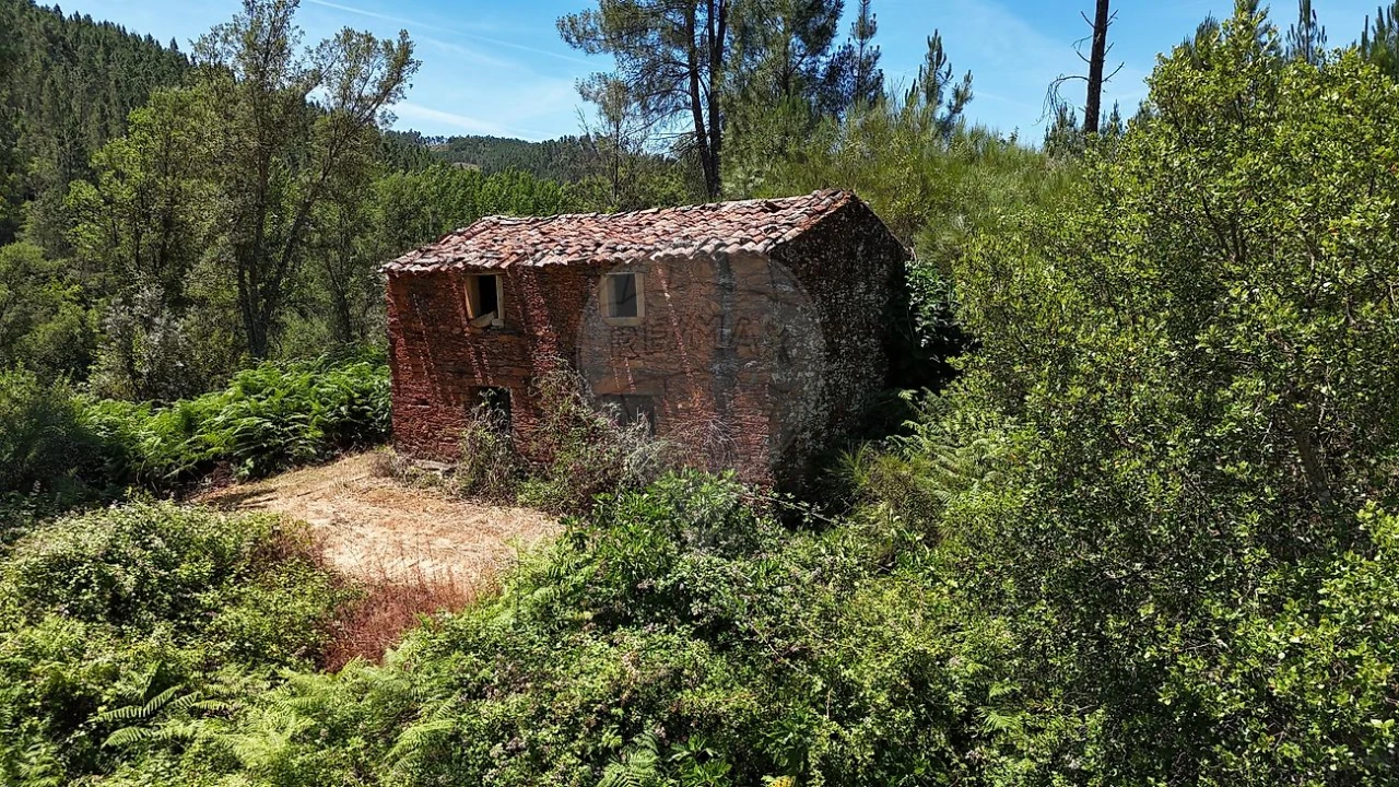 Terreno para Venda em Janeiro de Cima e Bogas de Baixo Foto 11