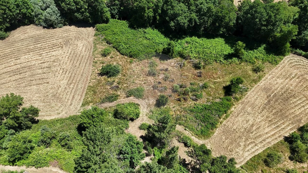 Terreno para Venda em Janeiro de Cima e Bogas de Baixo Foto 2
