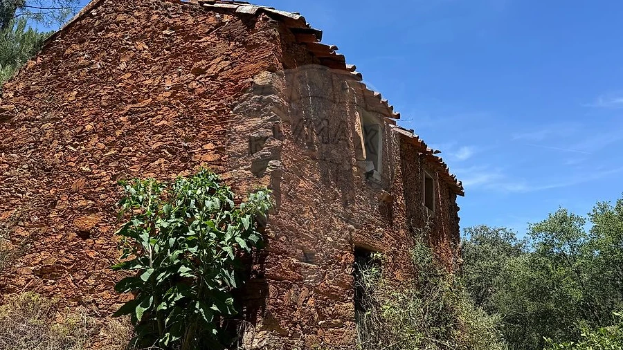 Terreno para Venda em Janeiro de Cima e Bogas de Baixo