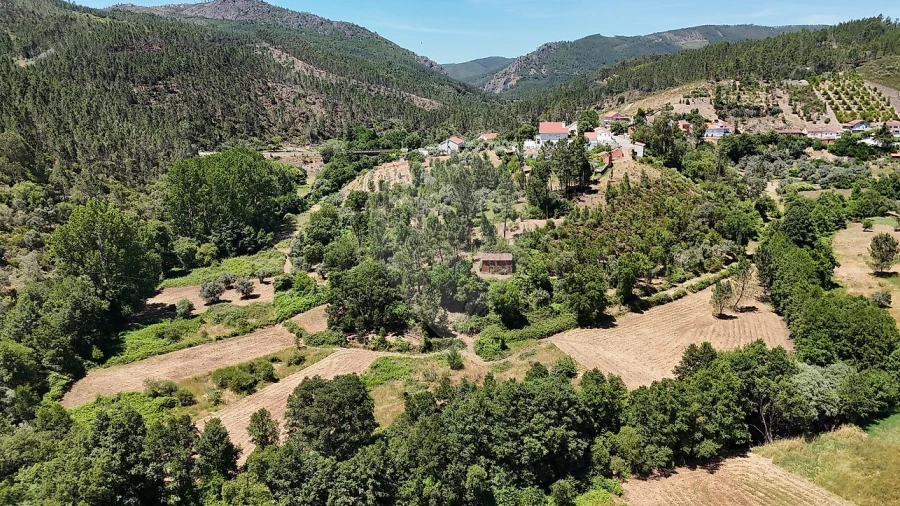 Terreno para Venda em Janeiro de Cima e Bogas de Baixo