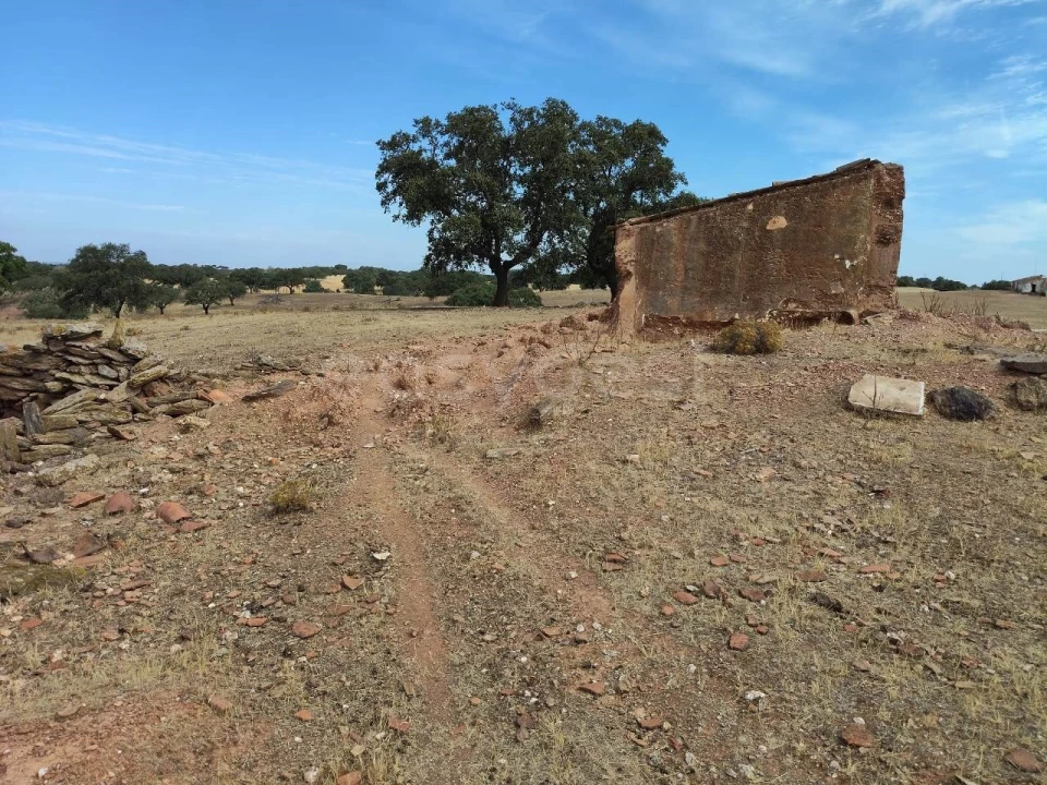 Moradia para Venda em Serpa (Salvador e Santa Maria) Foto 5