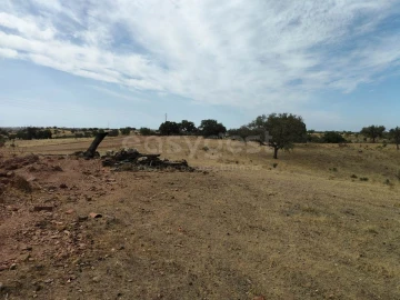 Moradia para Venda em Serpa (Salvador e Santa Maria)