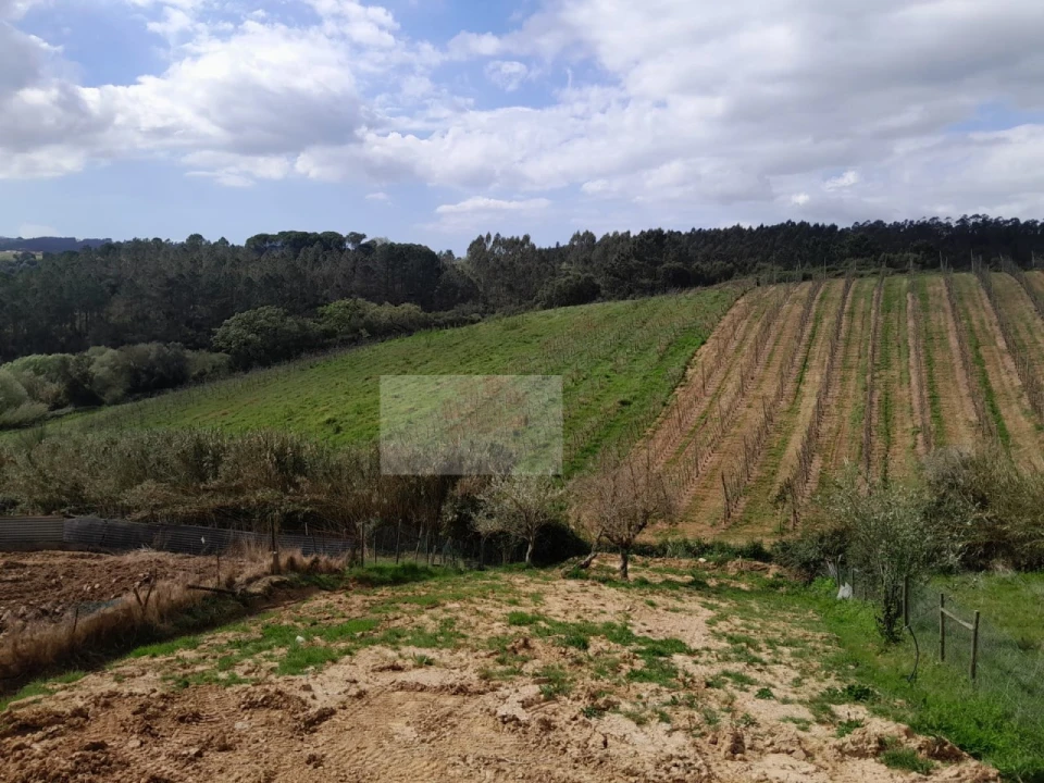 Moradia T3 para Venda em Salir de Matos Foto 20