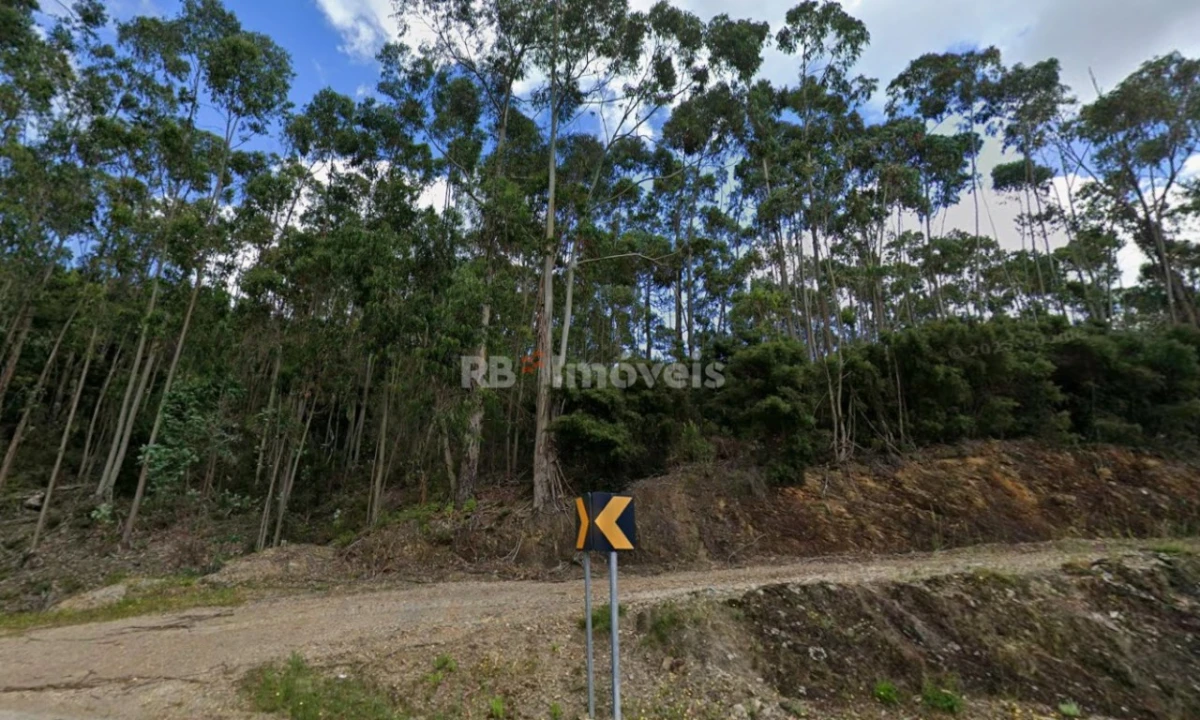 Terreno Agricola ou Rústico para Venda em Amendoa Foto 1