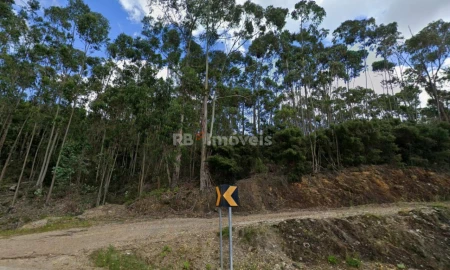 Terreno Agricola ou Rústico para Venda em Amendoa