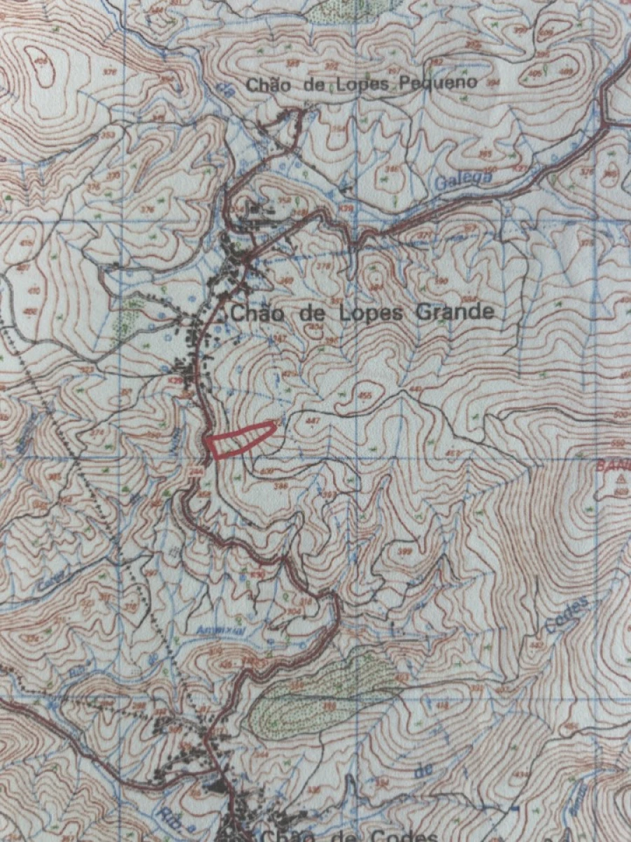 Terreno Agricola ou Rústico para Venda em Amendoa Planta 1