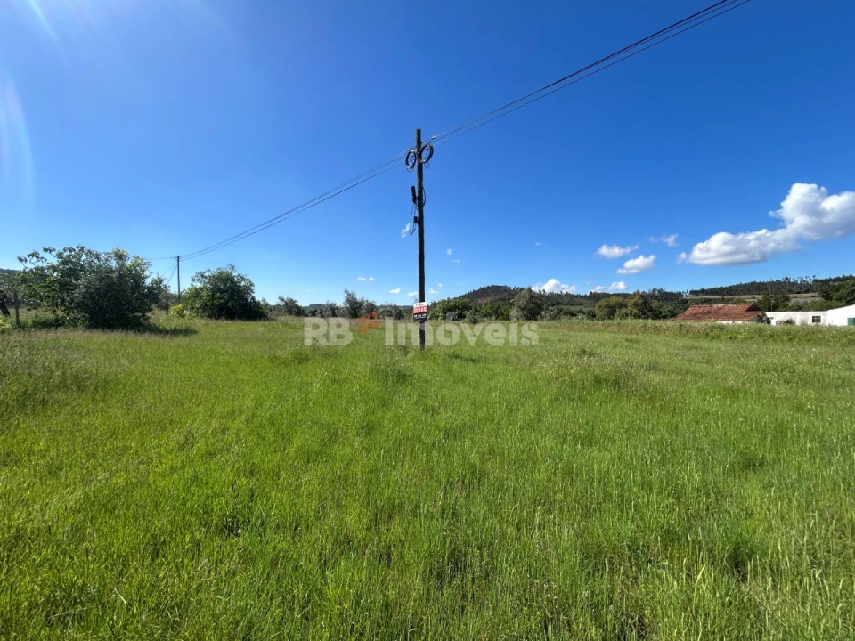 Terreno Agricola ou Rústico para Venda em Areias e Pias Foto 2