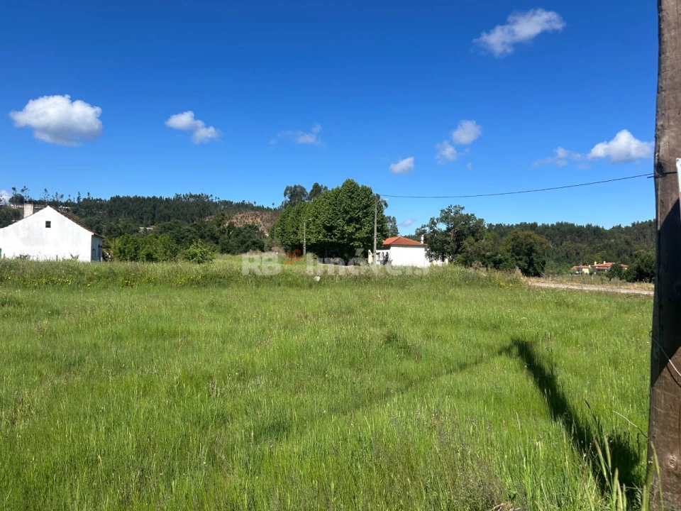 Terreno Agricola ou Rústico para Venda em Areias e Pias Foto 4