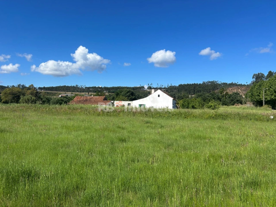 Terreno Agricola ou Rústico para Venda em Areias e Pias Foto 6
