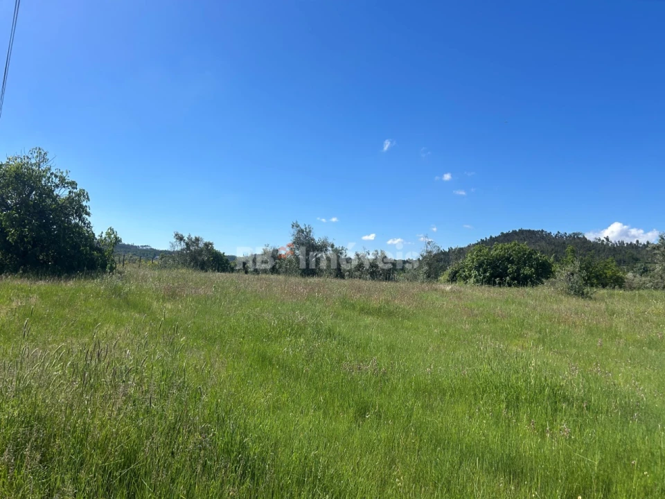Terreno Agricola ou Rústico para Venda em Areias e Pias Foto 7
