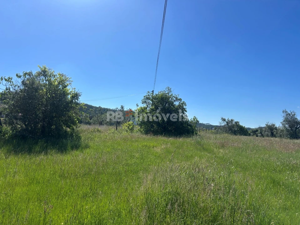 Terreno Agricola ou Rústico para Venda em Areias e Pias Foto 8