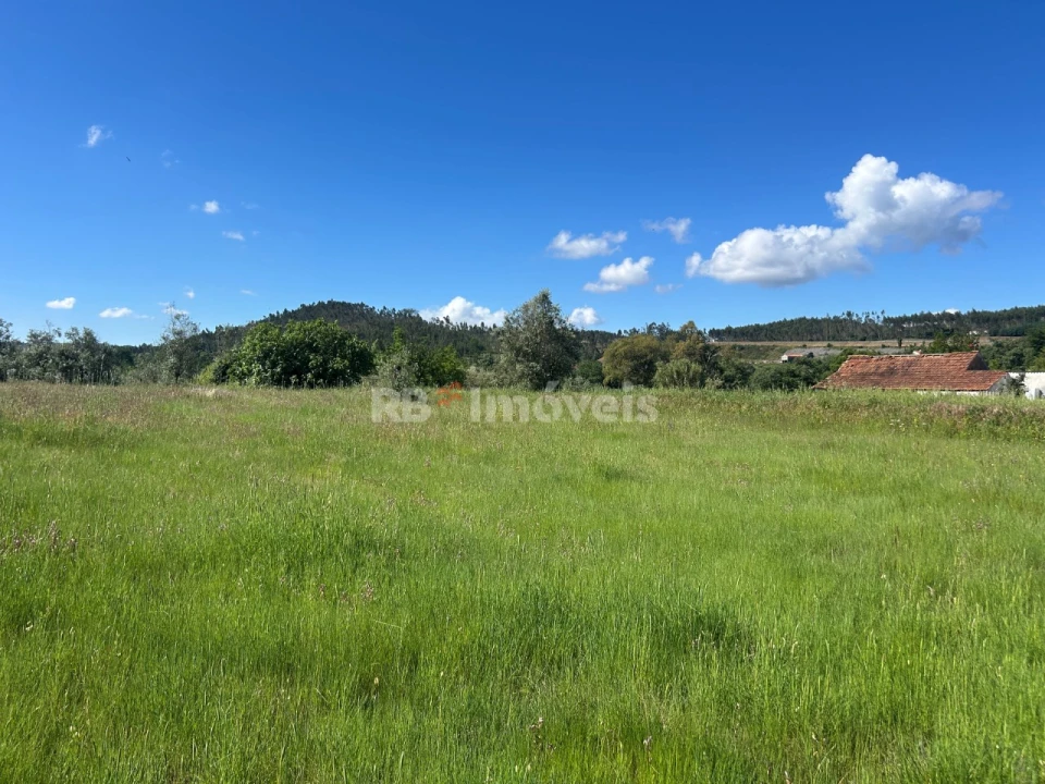 Terreno Agricola ou Rústico para Venda em Areias e Pias Foto 9