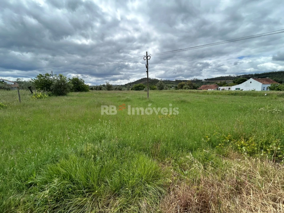 Terreno Agricola ou Rústico para Venda em Areias e Pias Foto 10
