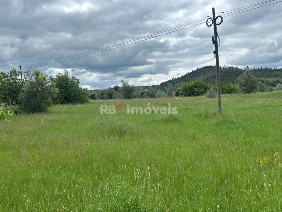 Terreno Agricola ou Rústico para Venda em Areias e Pias Foto 11