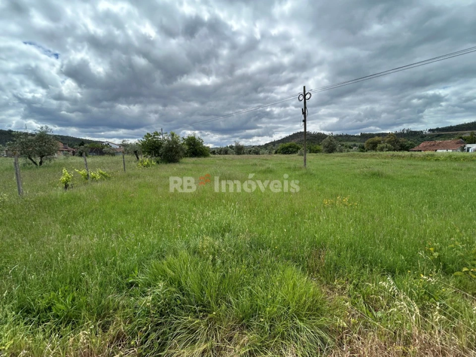 Terreno Agricola ou Rústico para Venda em Areias e Pias Foto 12