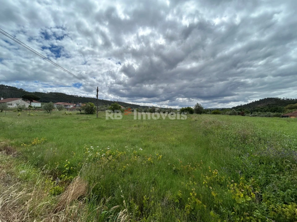 Terreno Agricola ou Rústico para Venda em Areias e Pias Foto 13