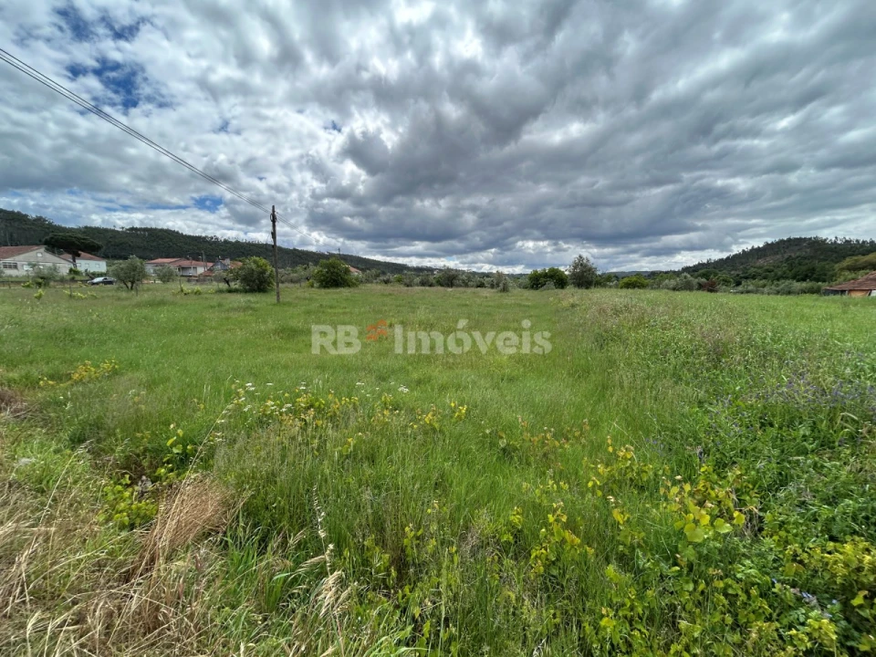 Terreno Agricola ou Rústico para Venda em Areias e Pias Foto 14