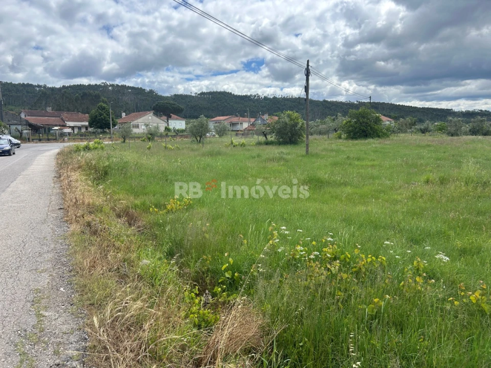 Terreno Agricola ou Rústico para Venda em Areias e Pias Foto 15
