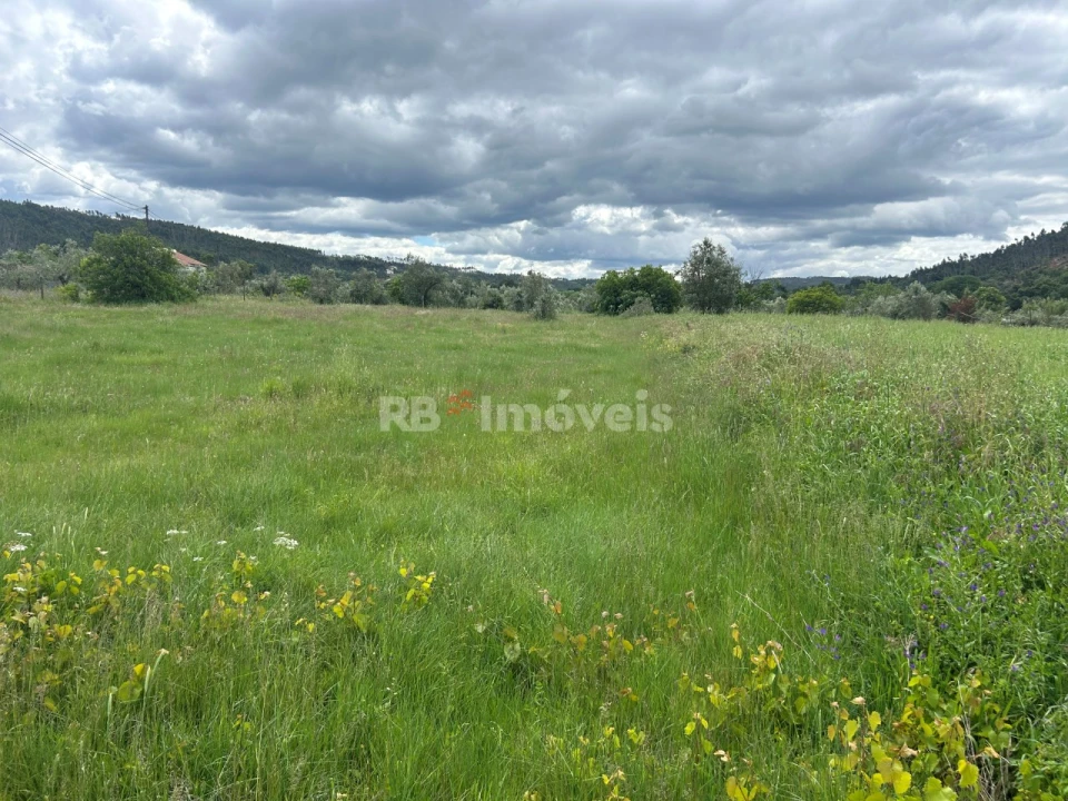 Terreno Agricola ou Rústico para Venda em Areias e Pias Foto 17