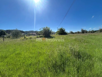 Terreno Agricola ou Rústico para Venda em Areias e Pias