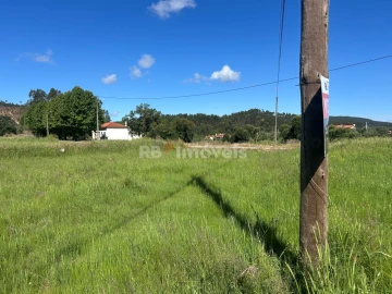 Terreno Agricola ou Rústico para Venda em Areias e Pias