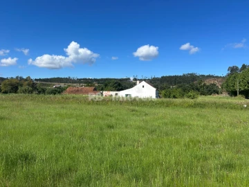 Terreno Agricola ou Rústico para Venda em Areias e Pias