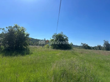 Terreno Agricola ou Rústico para Venda em Areias e Pias