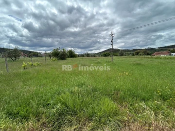 Terreno Agricola ou Rústico para Venda em Areias e Pias