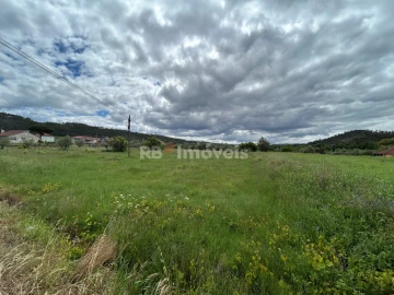 Terreno Agricola ou Rústico para Venda em Areias e Pias
