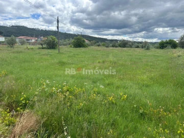 Terreno Agricola ou Rústico para Venda em Areias e Pias