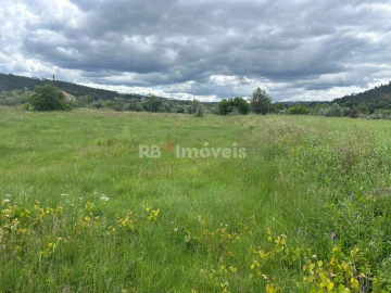 Terreno Agricola ou Rústico para Venda em Areias e Pias