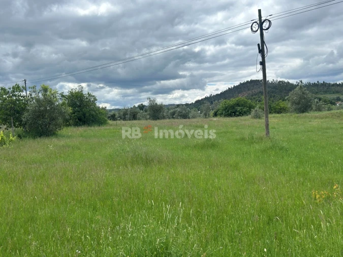 Terreno Agricola ou Rústico para Venda em Areias e Pias Foto 11