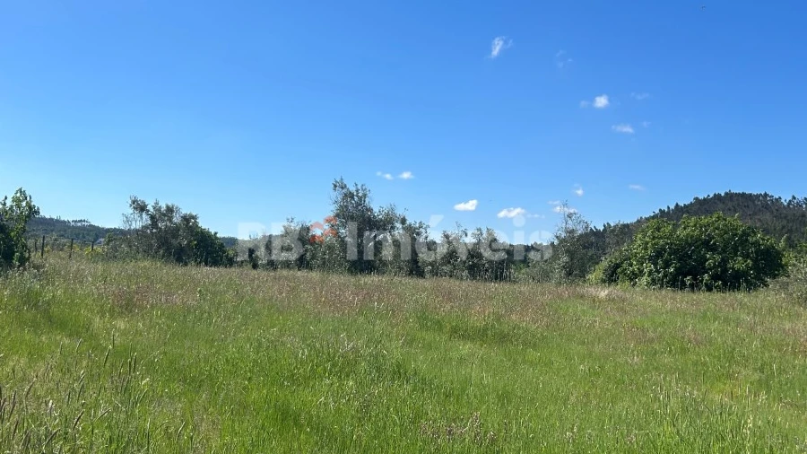 Terreno Agricola ou Rústico para Venda em Areias e Pias