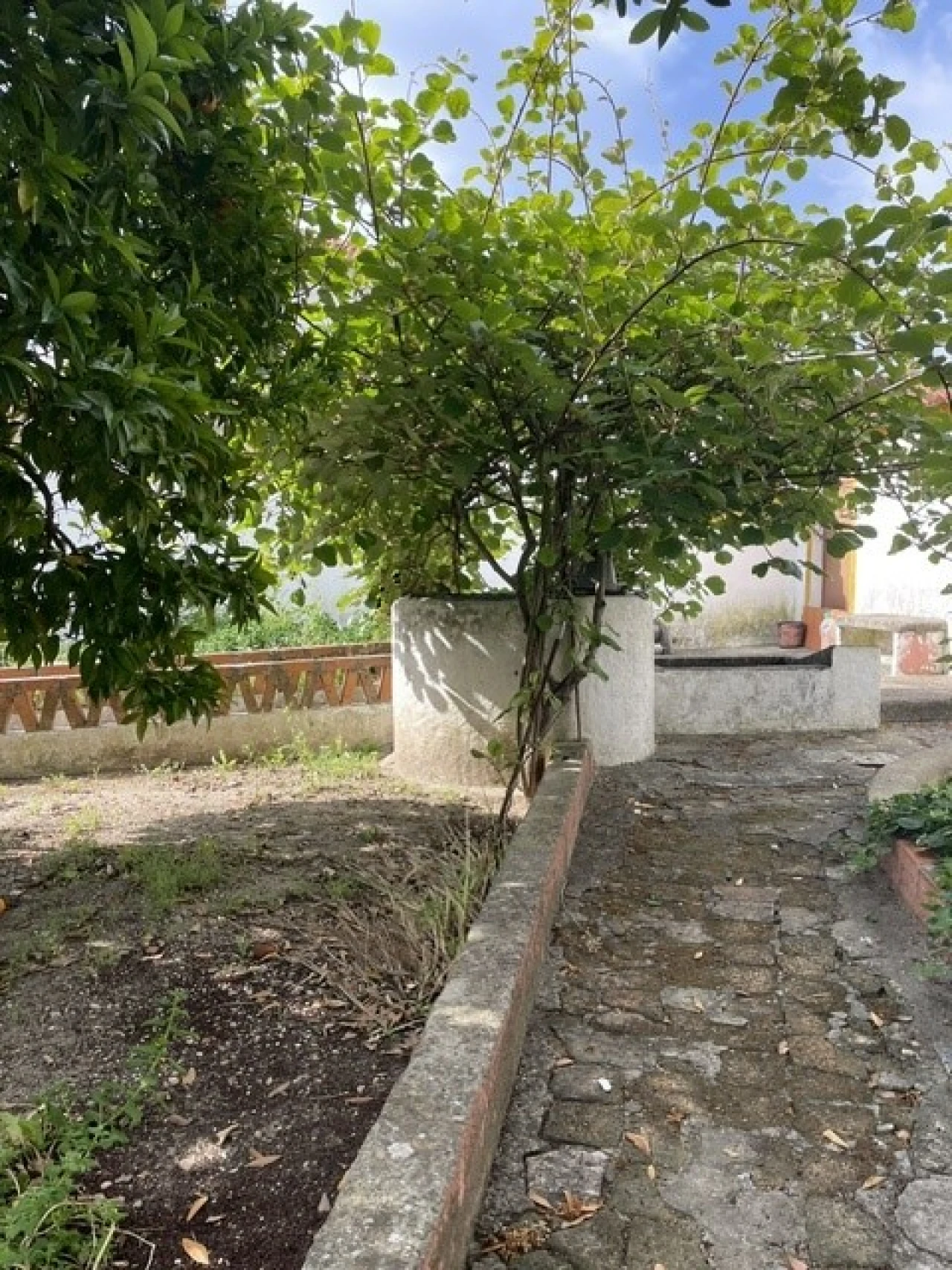 Moradia T5 para Venda em Ponte de Sor, Tramaga e Vale de Açor Foto 20