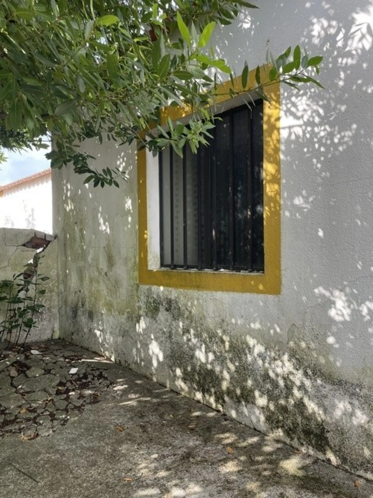 Moradia T5 para Venda em Ponte de Sor, Tramaga e Vale de Açor Foto 23