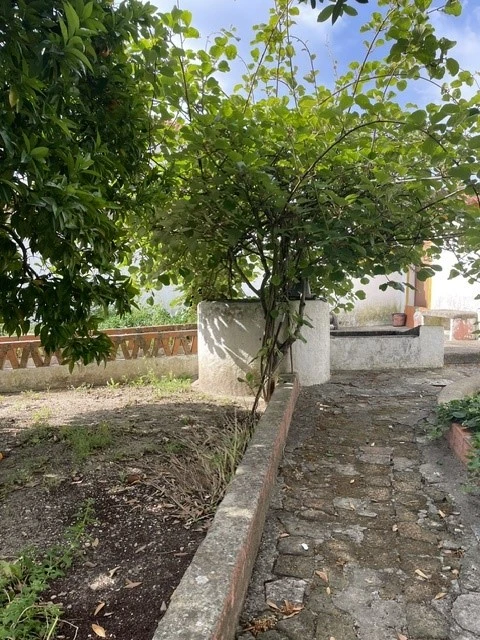 Moradia T5 para Venda em Ponte de Sor, Tramaga e Vale de Açor
