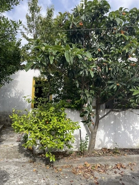 Moradia T5 para Venda em Ponte de Sor, Tramaga e Vale de Açor