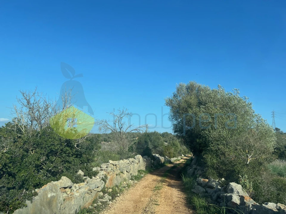 Terreno para Venda em Paderne Foto 27