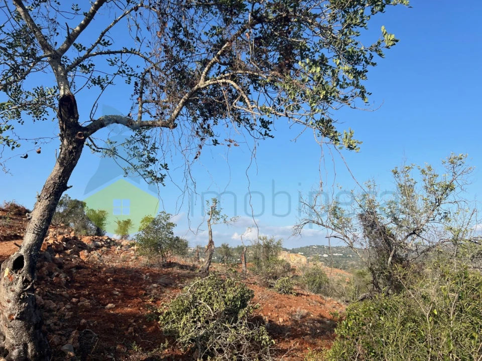 Terreno para Venda em Paderne Foto 29